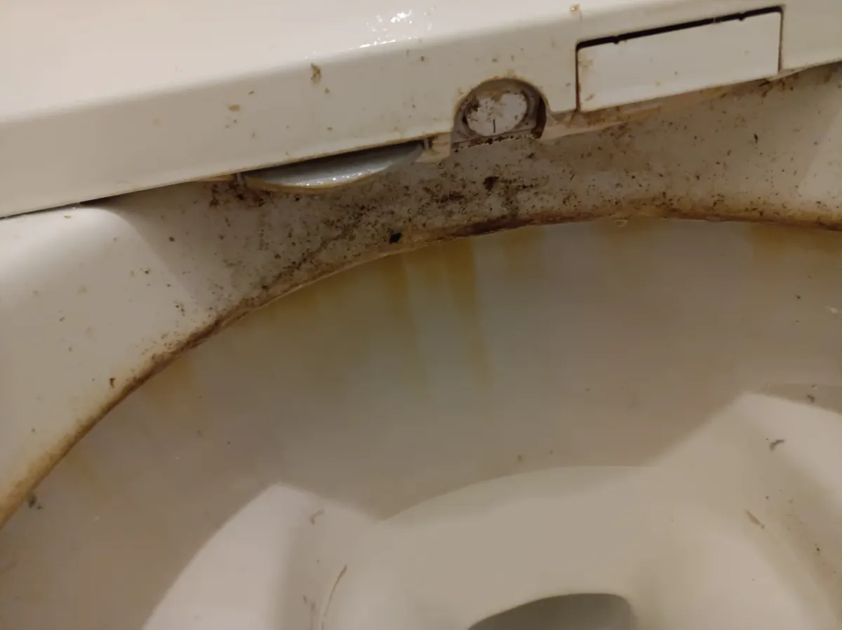 便器フチ裏の黒ずみ（施工前の状態）